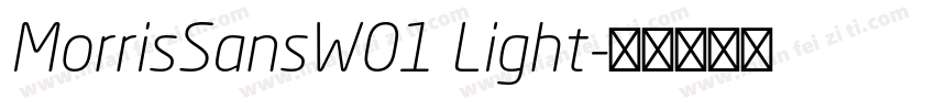 MorrisSansW01 Light字体转换